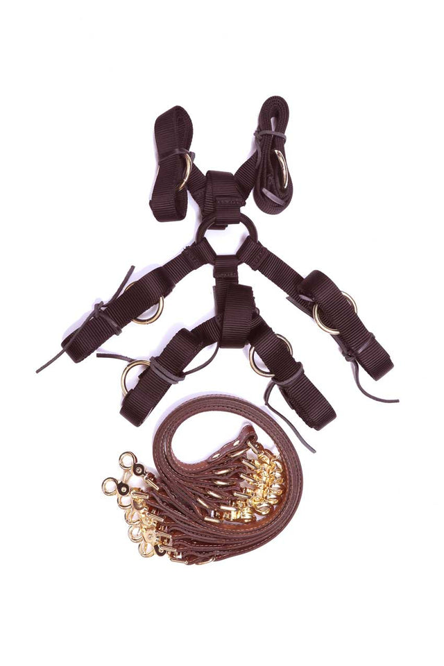 Finn - Mocha Leather 6 Point Under Mattress Bondage Restraint System - DDB