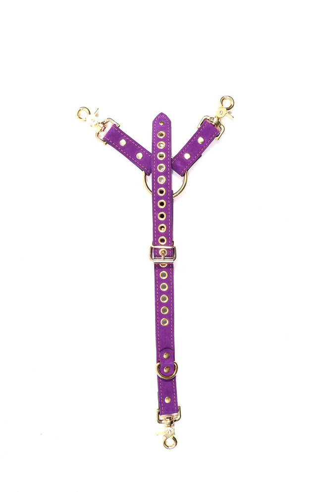 Athena - Special Edition Royal Purple Suede BDSM Adjustable Y Hogtie - DDB
