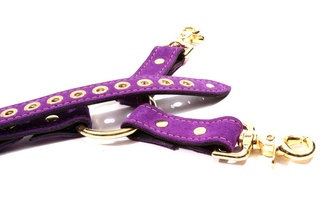 Athena - Special Edition Royal Purple Suede BDSM Adjustable Y Hogtie - DDB