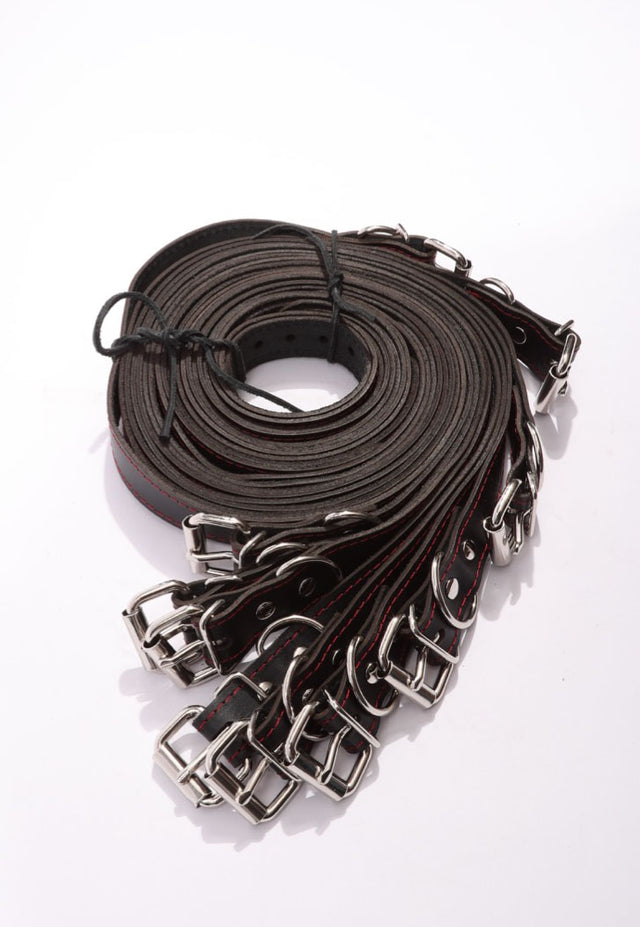 Dualis - 10 Piece Leather Bondage Straps