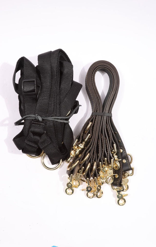 Theodora - Black and Gold Leather 6 Point Under Mattress Bondage Restraint System - DDB