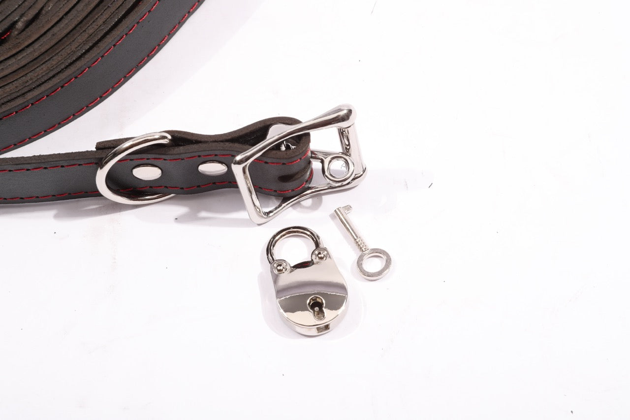 Dualis - 10 Piece Leather Bondage Straps