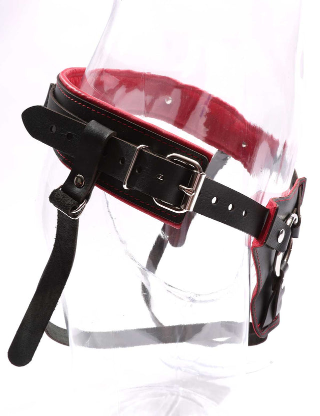 Mandrake - Premium Padded Leather BDSM Strap On Harness - DDB
