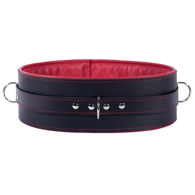 Mandrake - Padded Leather BDSM Waist Belt - DDB