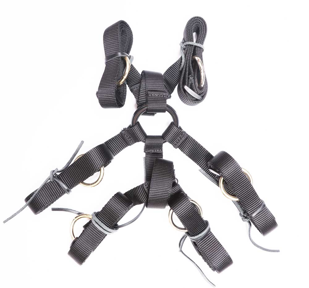 6 Point Under Mattress Bed Restraint Kit