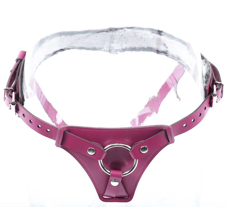 strap-on harness