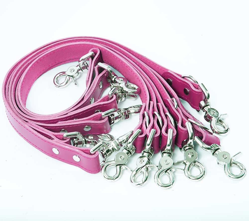 Under Mattress Restraint System