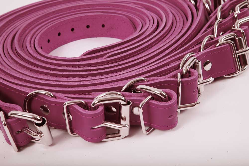 Nexis - Premium Leather 10 Piece Bondage Straps - DDB