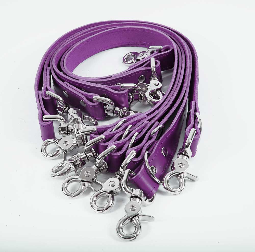 Under Mattress Restraint System