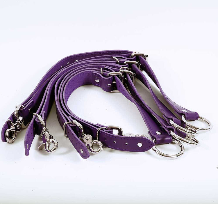 Bed Restraints