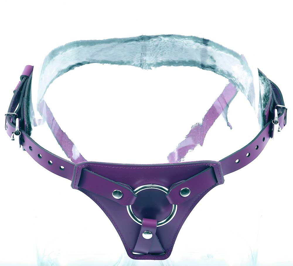 strap-on harness