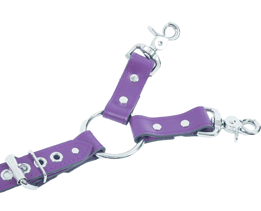 Nexis - Premium Leather Adjustable Y Hogtie