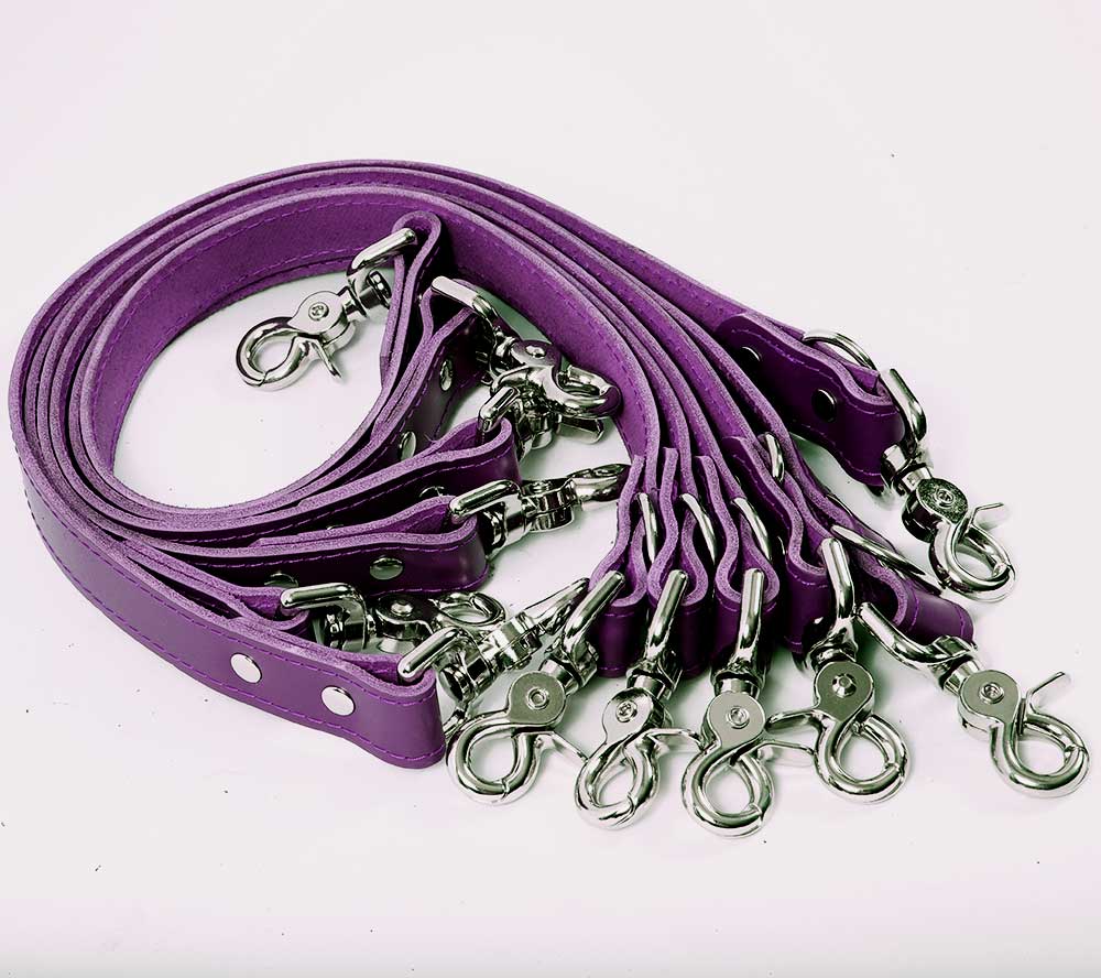 Under Mattress Restraint System