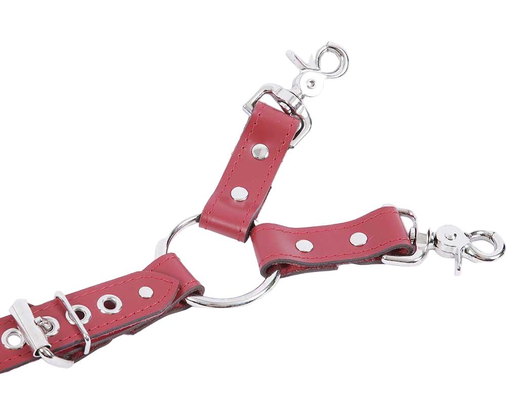 Nexis - Premium Leather Adjustable Y Hogtie