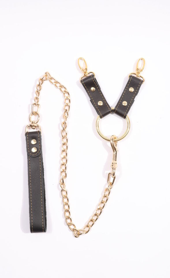 Theodora - Black and Gold Leather 2 Way BDSM Hogtie With Chain Lead - DDB