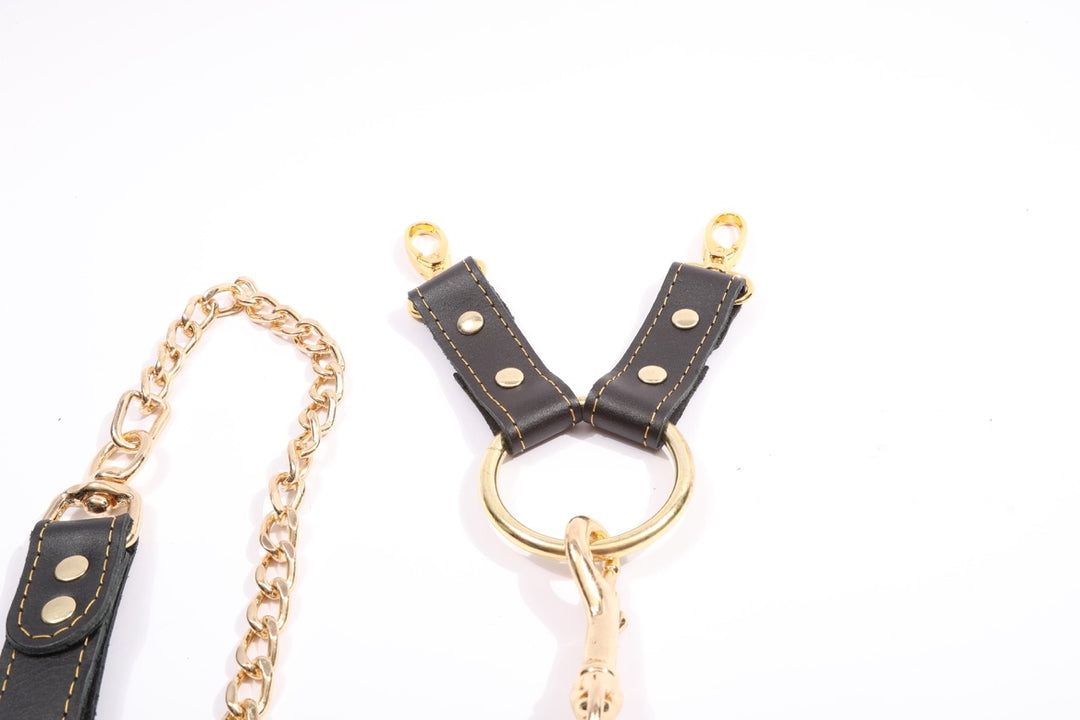 Theodora - Black and Gold Leather 2 Way BDSM Hogtie With Chain Lead - DDB