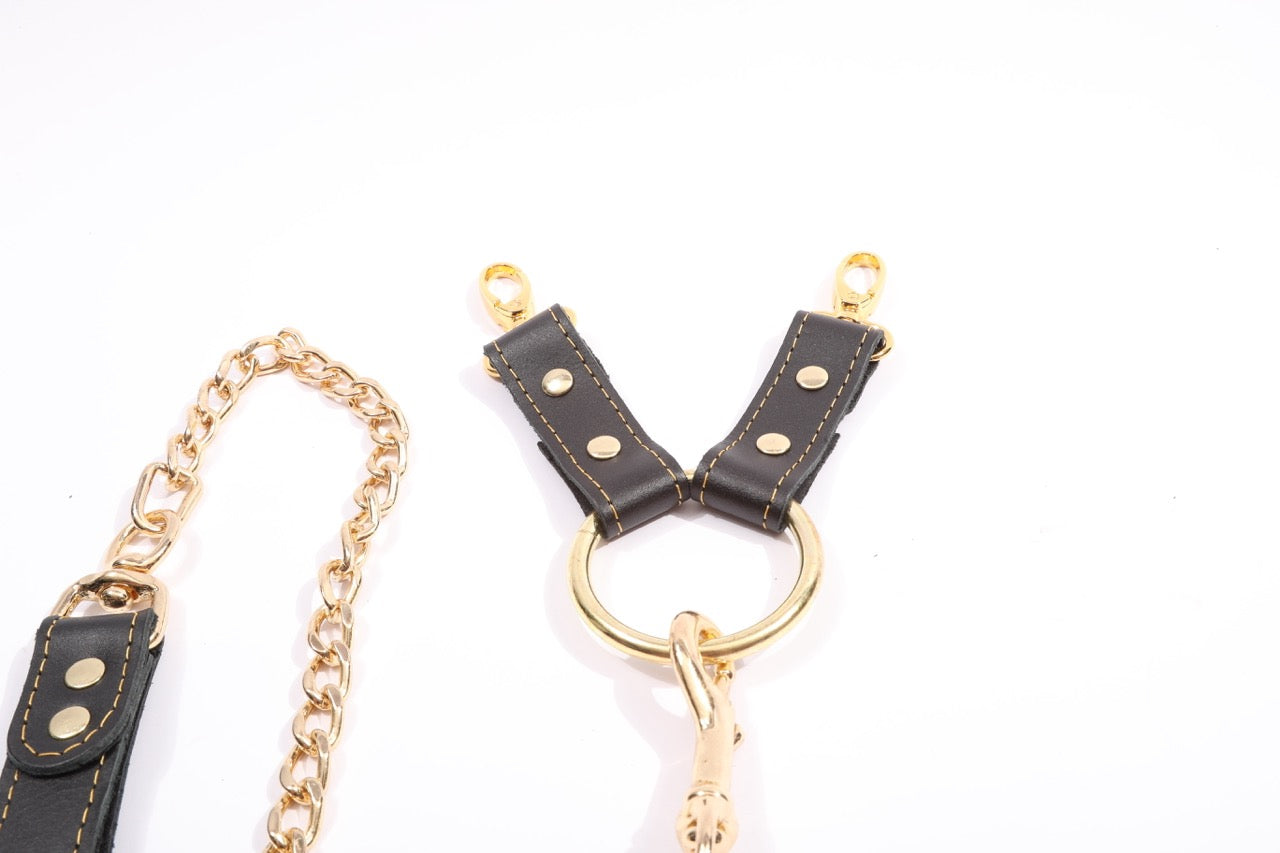 Theodora - Black and Gold Leather 2 Way BDSM Hogtie With Chain Lead - DDB