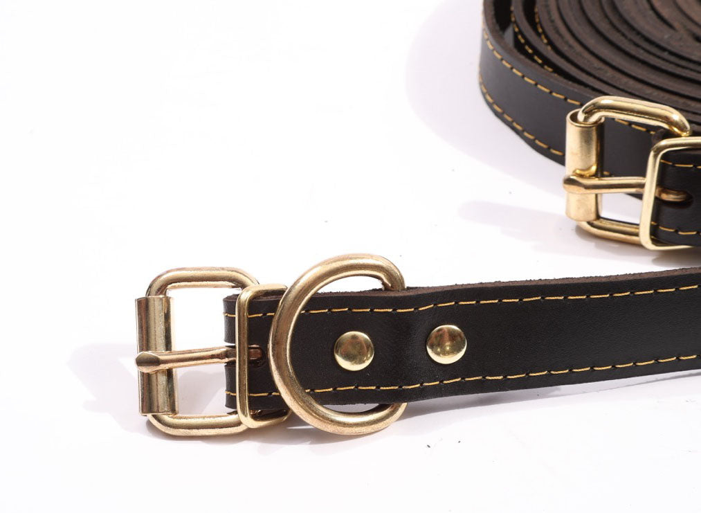Theodora - Black and Gold Leather 10 Piece Body Strap Set - DDB