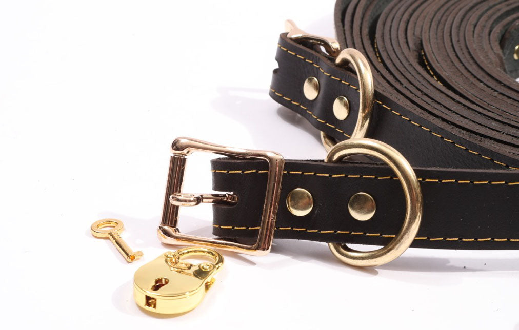 Theodora - Black and Gold Leather 10 Piece Body Strap Set - DDB