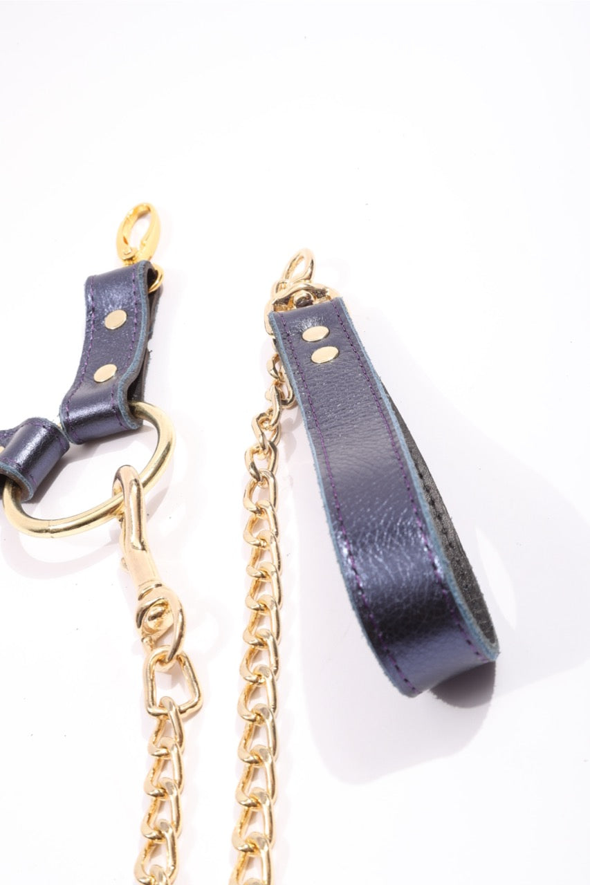 Sonya - Special Edition Metallic Sapphire Leather 2 Way BDSM Hogtie With Chain Lead - DDB