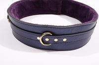 Sonya - Special Edition Metallic Sapphire Leather Faux Fur Lined BDSM Waist Belt - DDB