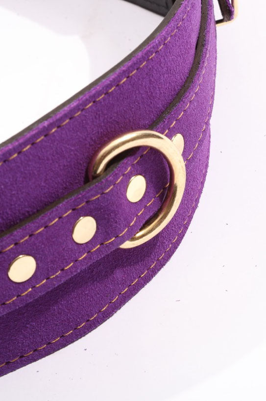 Athena - Special Edition Royal Purple Suede BDSM Waist Belt - DDB