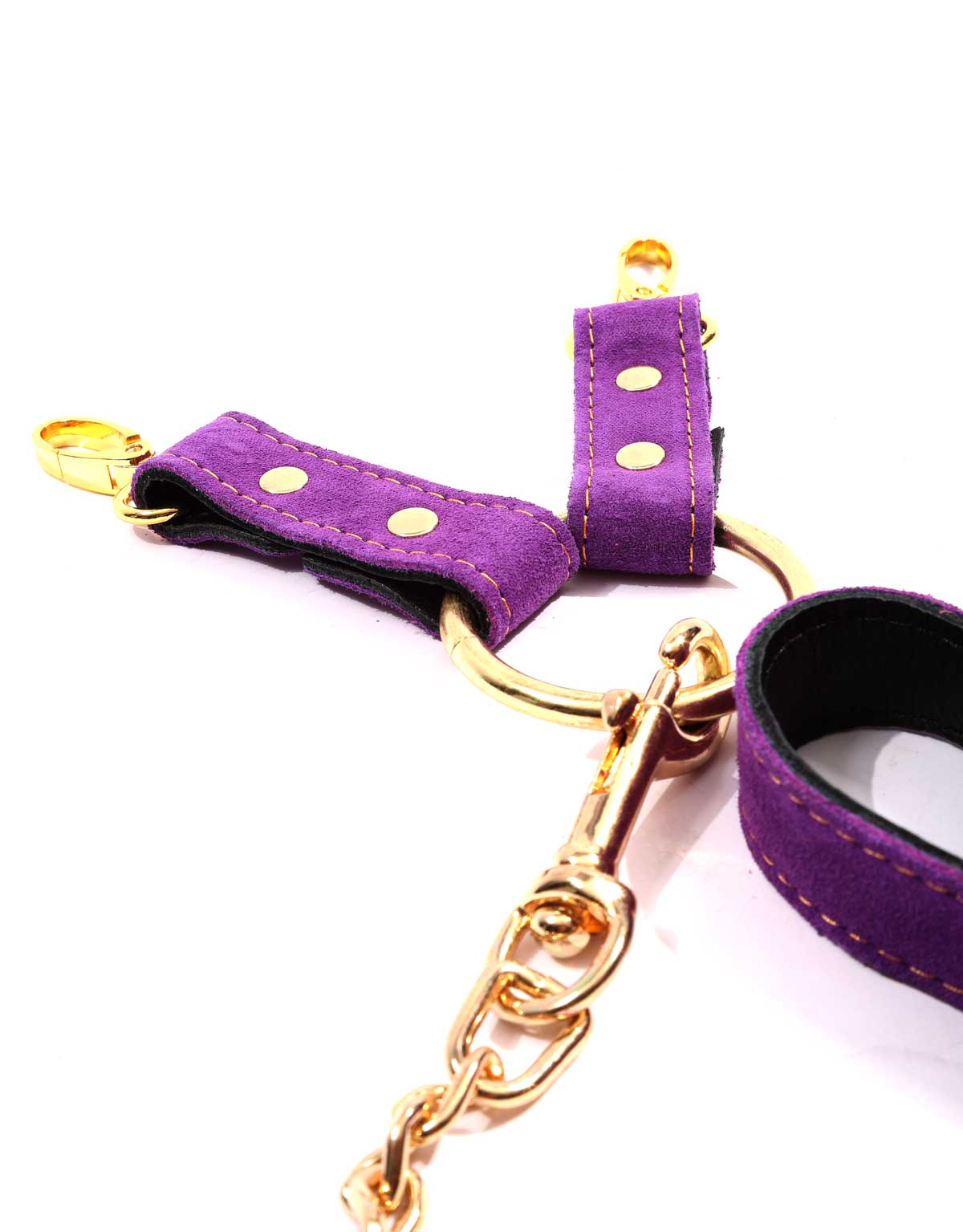Hogtie With Chain Lead