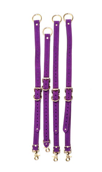 Bed Restraints