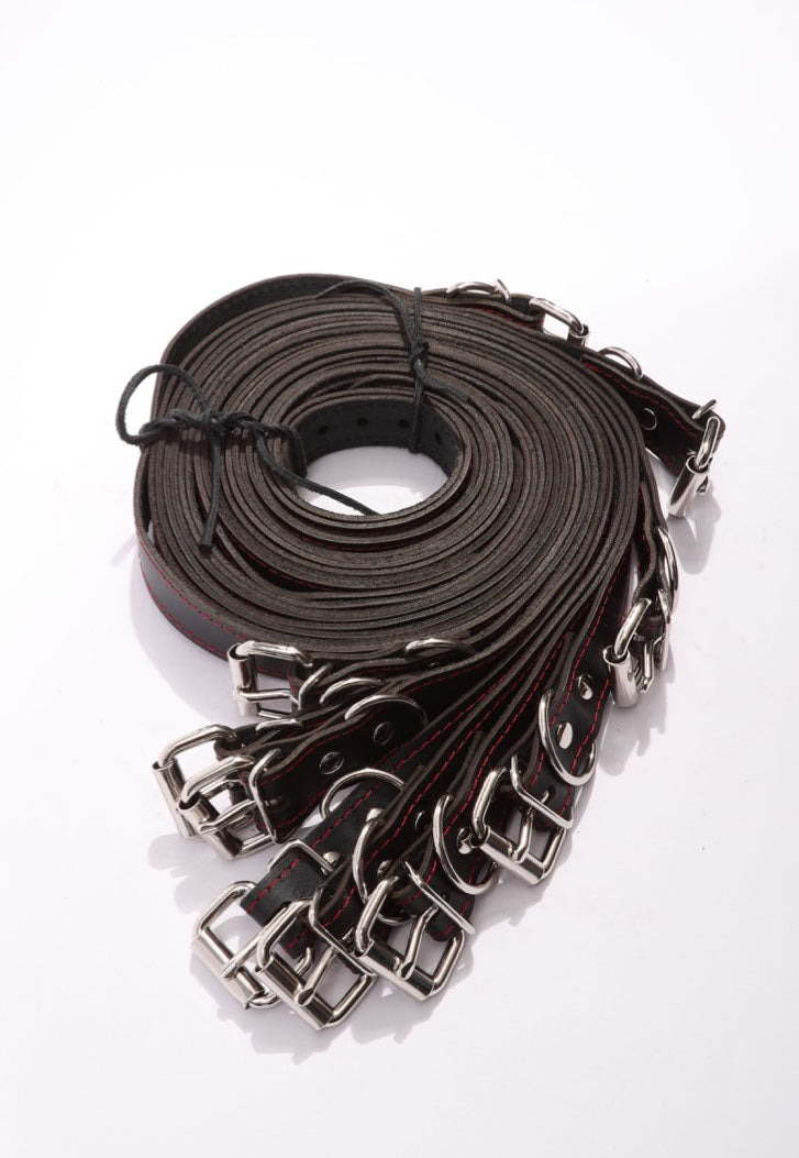 Mandrake - Premium Leather 10 Piece Body Strap Set - DDB