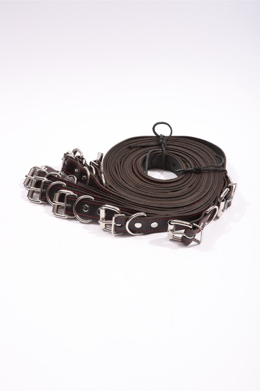 Dualis - 10 Piece Leather Bondage Straps