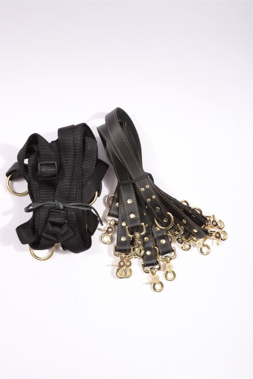 Theodora - Black and Gold Leather 6 Point Under Mattress Bondage Restraint System