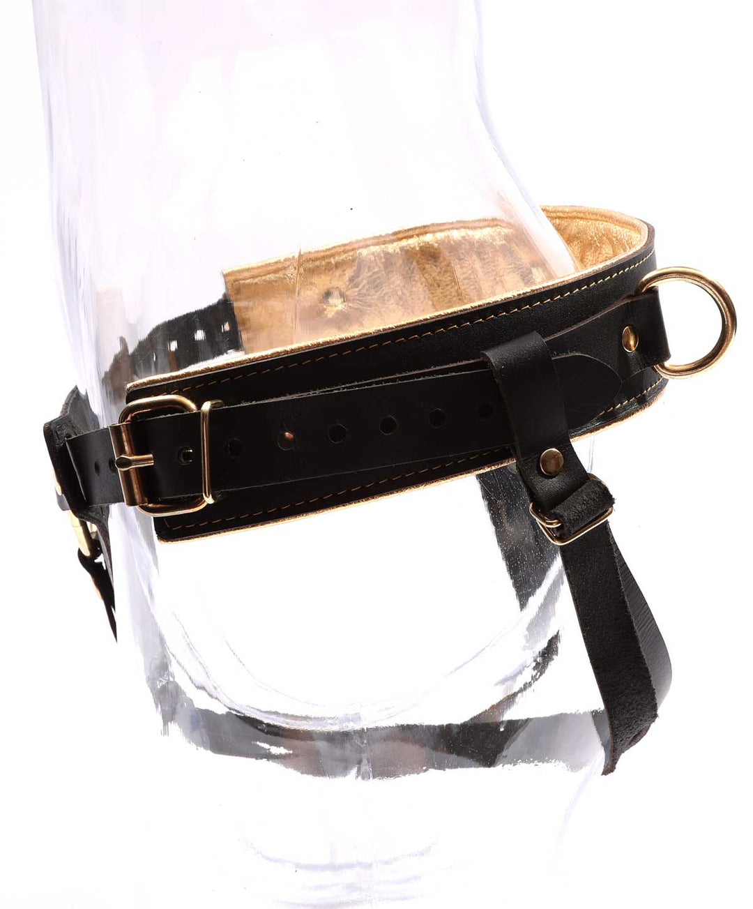 Theodora - Black and Gold Padded Leather BDSM Strap On Harness
