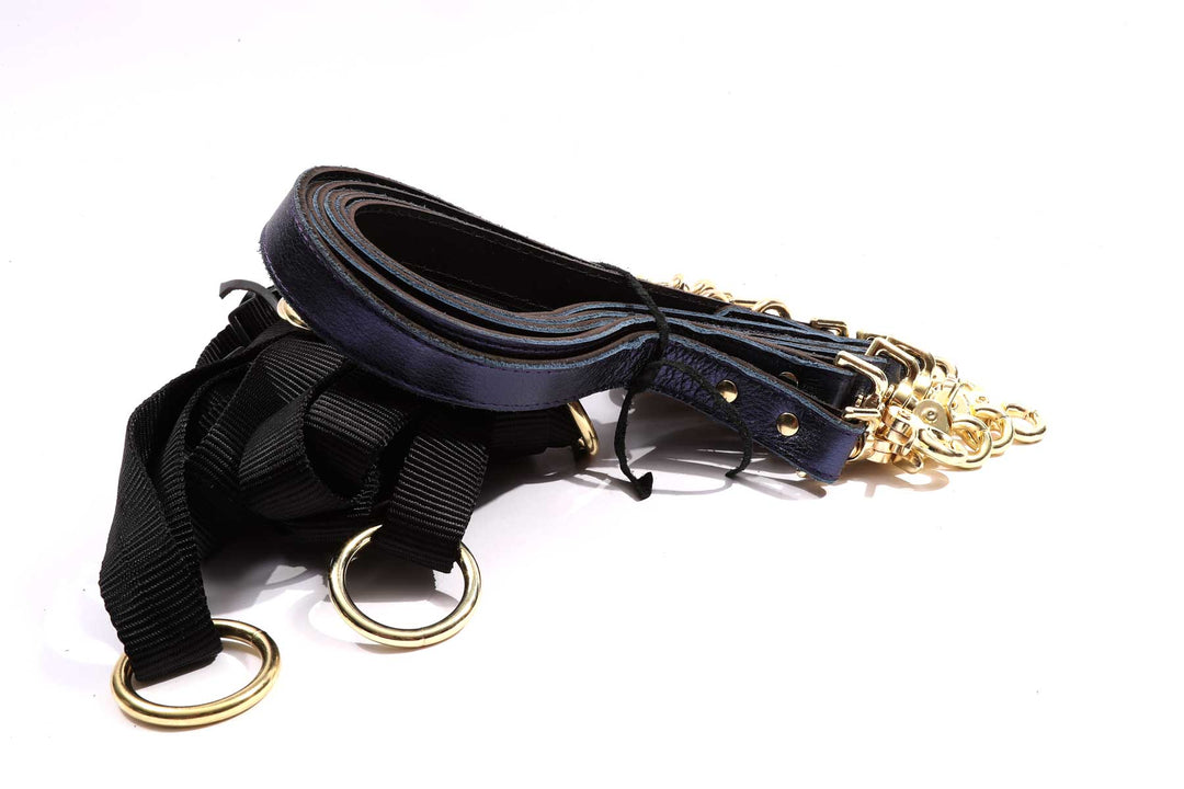Sonya - Special Edition Metallic Sapphire Leather Under Mattress 6 Point Bondage Restraint System - DDB