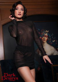 Noir Sheer Mesh Long Sleeve Dress