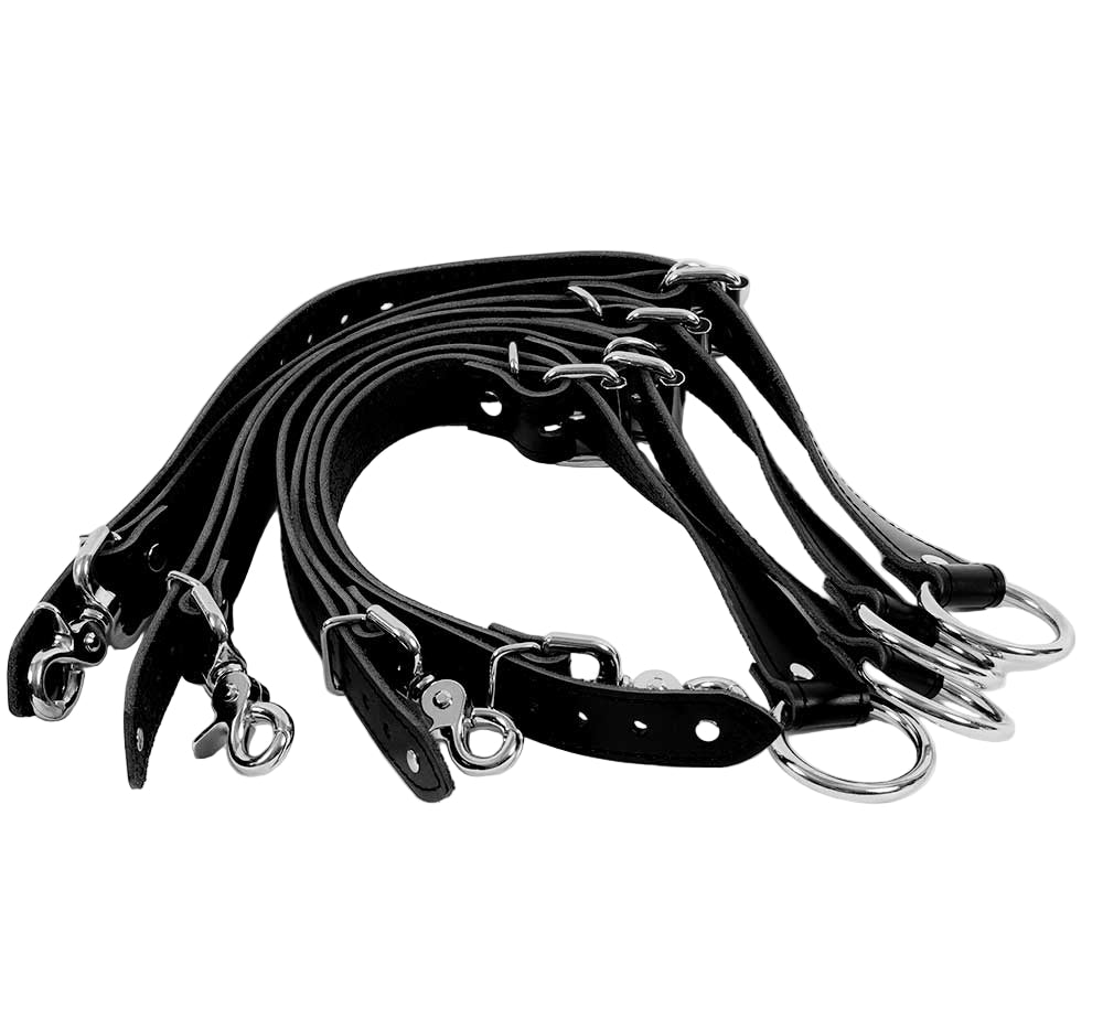 Bed Restraints