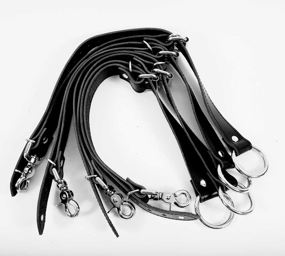 Bed Restraints