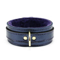 Metallic Sapphire Leather Collar and Leash Set