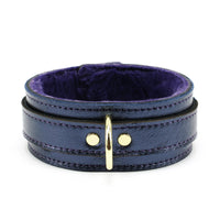 Metallic Sapphire Leather Collar and Leash Set