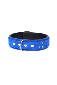 Daphne - Cobalt Suede Collar & Leash Set Enhanced with Swarovski Crystals - Dark Desires Boutique