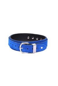 Daphne - Cobalt Suede Collar & Leash Set Enhanced with Swarovski Crystals - Dark Desires Boutique