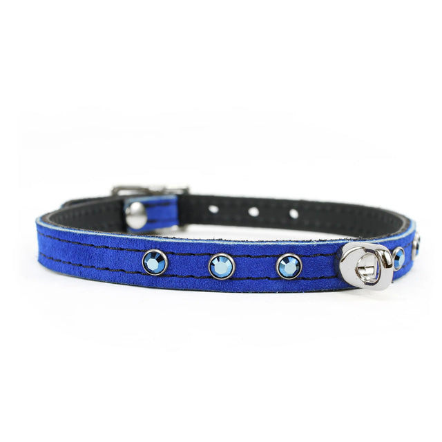 Daphne - Cobalt Suede Collar & Leash Set Enhanced with Swarovski Crystals - Dark Desires Boutique
