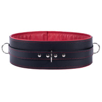 Mandrake - Padded Leather BDSM Waist Belt - DDB