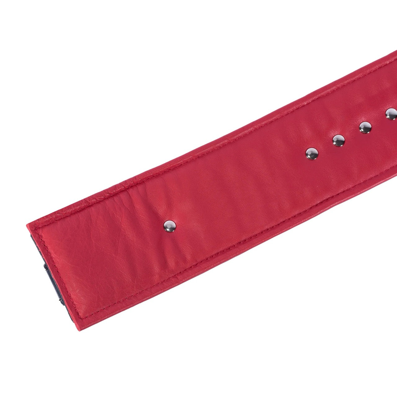 Mandrake - Padded Leather BDSM Waist Belt - DDB