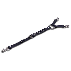 Dualis black leather adjustable Y-hogtie