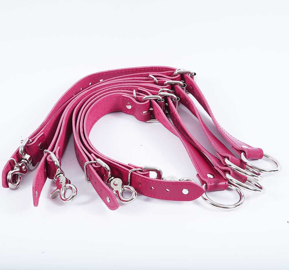 Bed Restraints