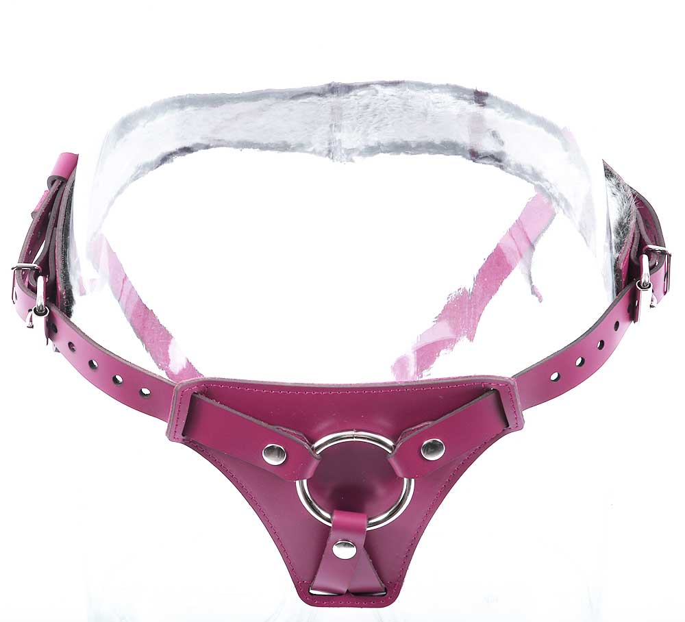 strap-on harness