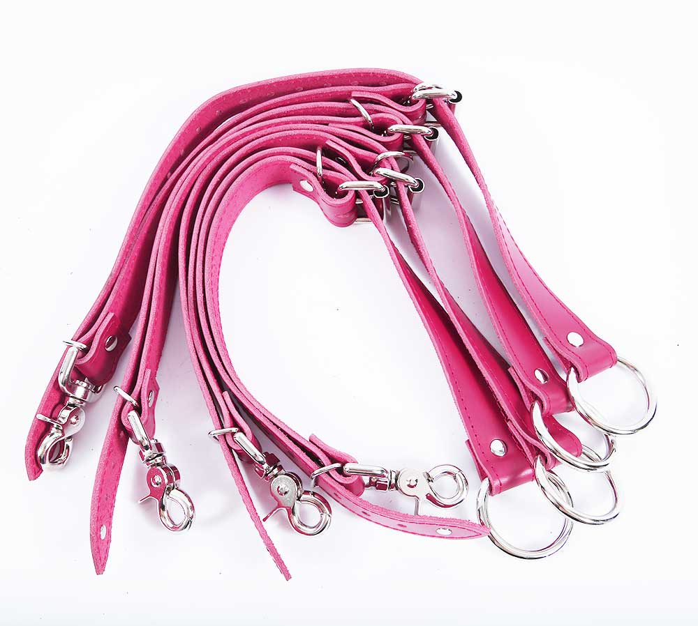 Bed Restraints
