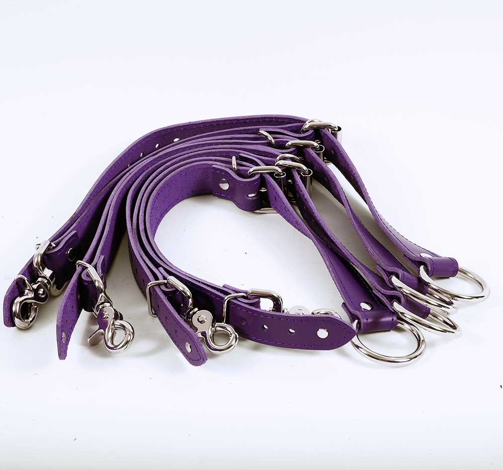 Bed Restraints