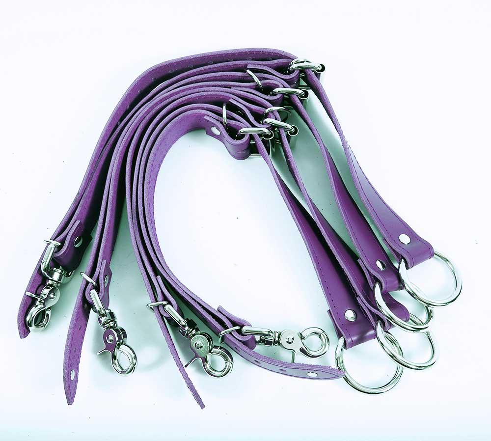Bed Restraints