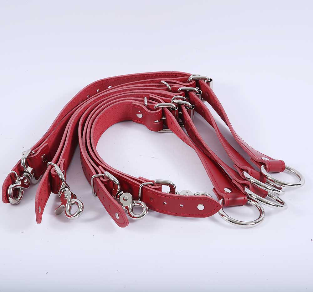 Bed Restraints